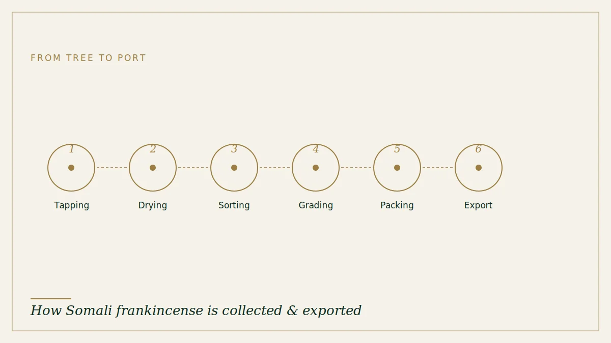 Frankincense export sacks and cartons ready for shipment