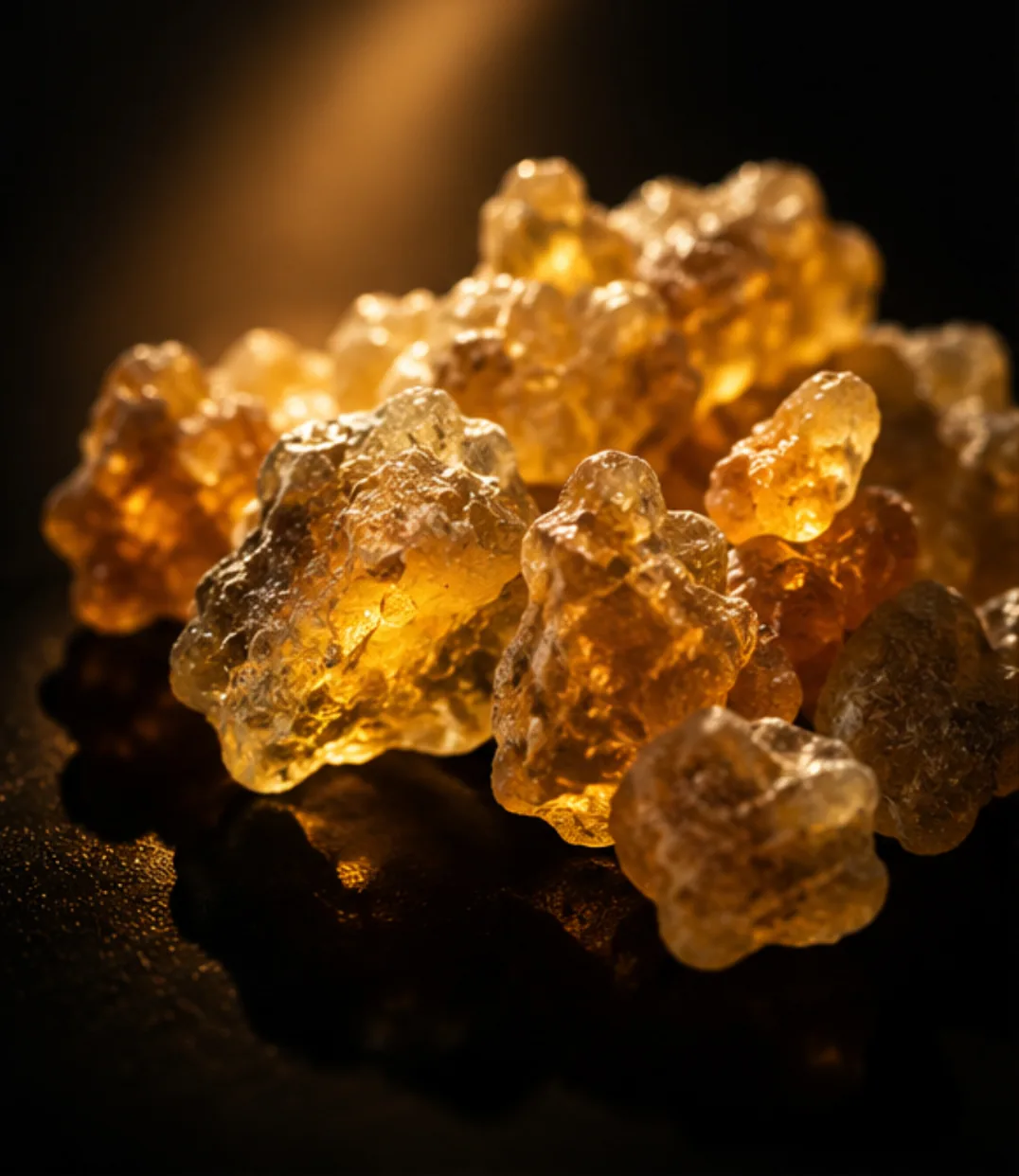 Backlit Somali frankincense tears showing translucency