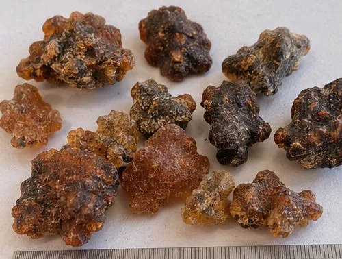 Somali myrrh resin lumps (Commiphora myrrha) showing characteristic white striations